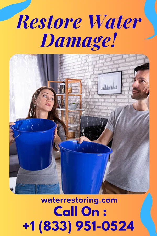 water restoration Best Cleanup Specialists East Avon