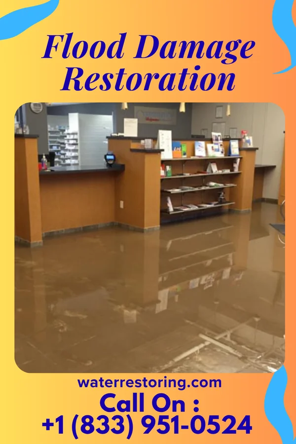 Flood Damage Restoration in East Avon, NY