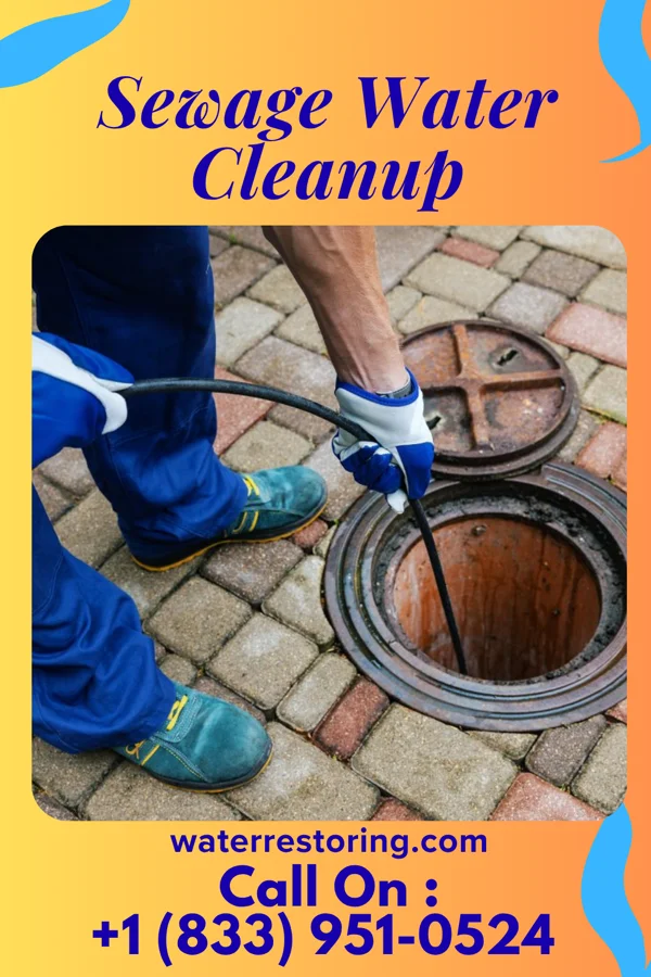 Sewage Water Cleanup in East Avon, NY