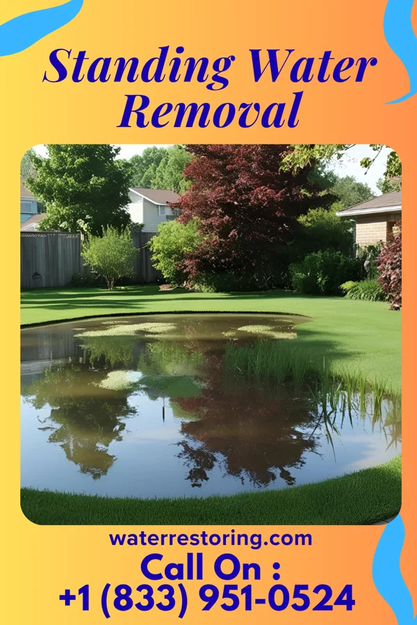 Standing Water Removal in East Avon, NY